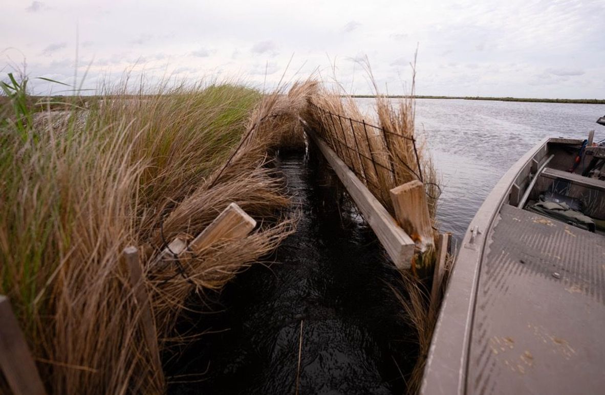 Cameron Parish LA 3,556 Pro Photo-58