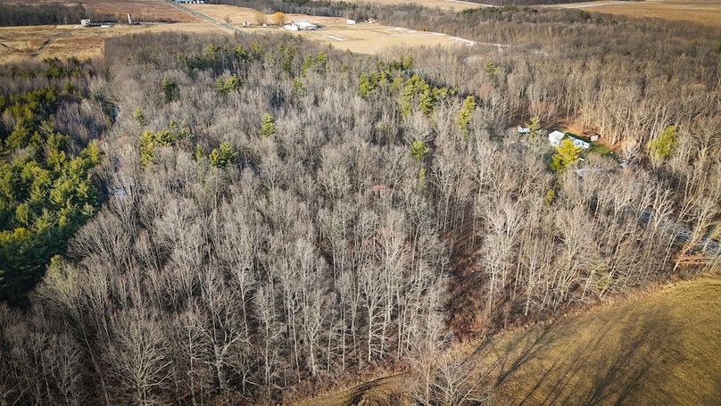 Seneca_43_Hohwald_Photos_19