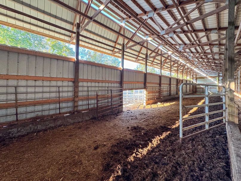 Monroe 5.31-13 Large