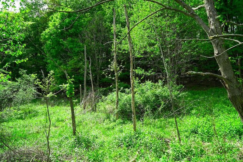 DSC00248