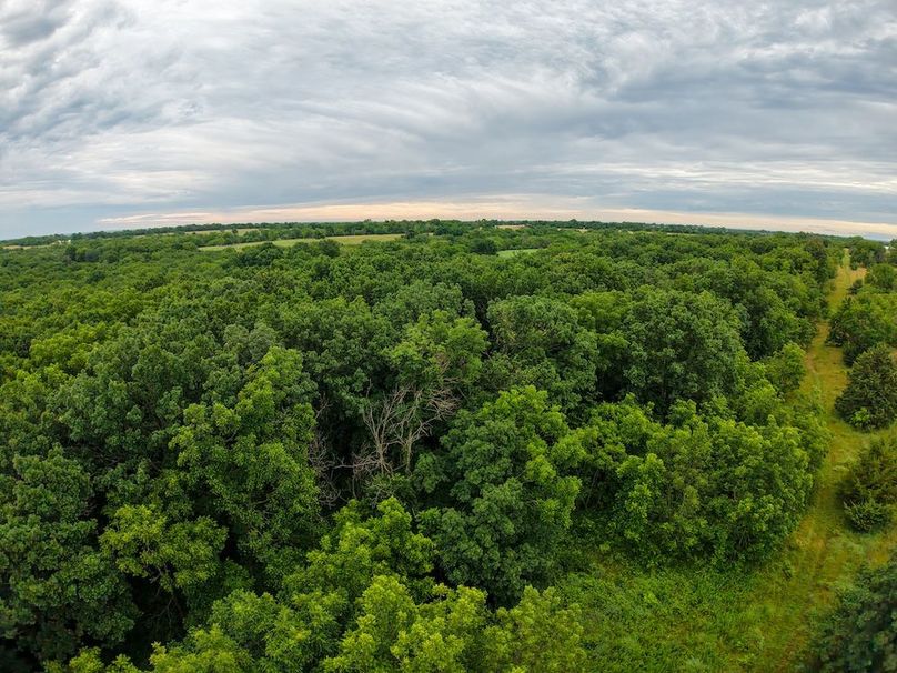 DJI_20250630071225_0303_D