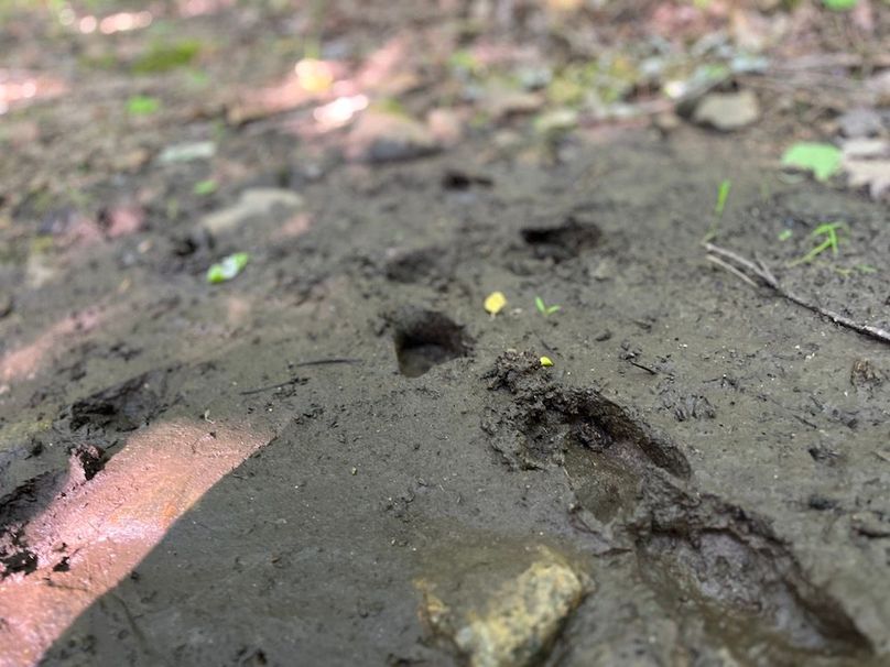 Jefferson_260.3_ Lobach_Photos_39