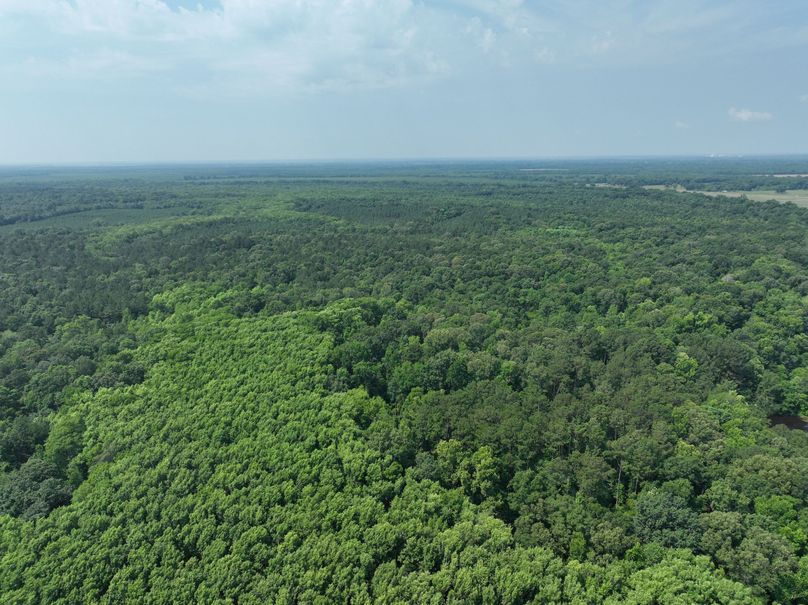 dji_fly_20230530_111406_130_1685483420381_photo