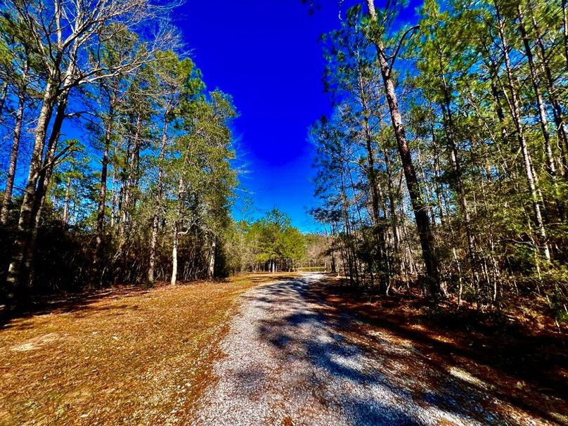 8B94A698-439A-4DED-8901-B2BA4160E9D5_1_201_a