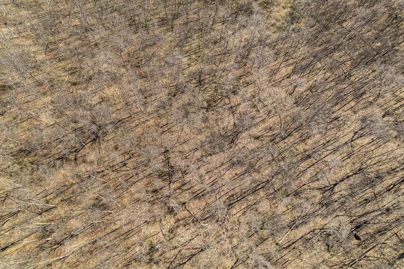 Jo Daviess IL 23.5_27