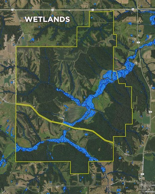 Monroe 3600 Map - 05_Wetlands