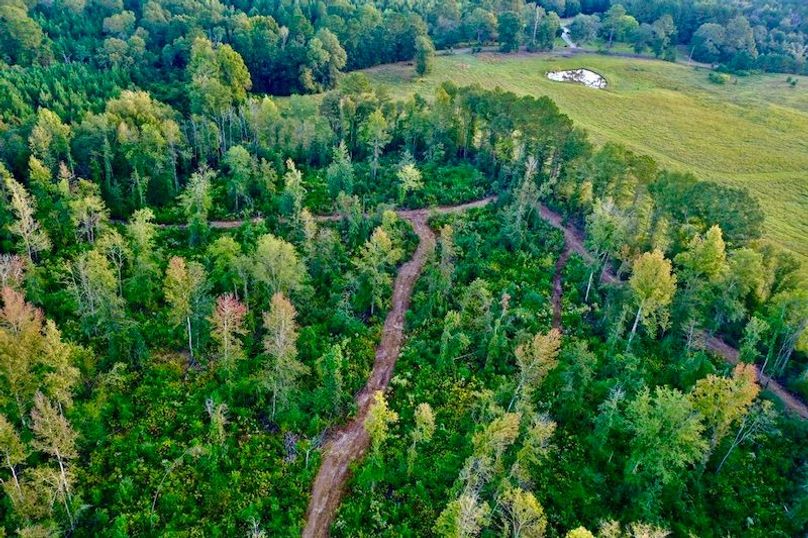 63A28F15-087D-4B34-B085-63C09607BBD5_1_105_c