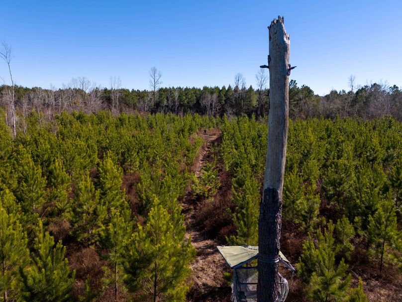 Pender NC 382 - Edits-15