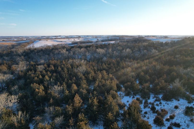 DJI_0498