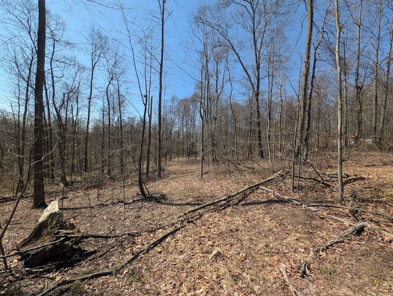 PXL_20260326_165132353.MP