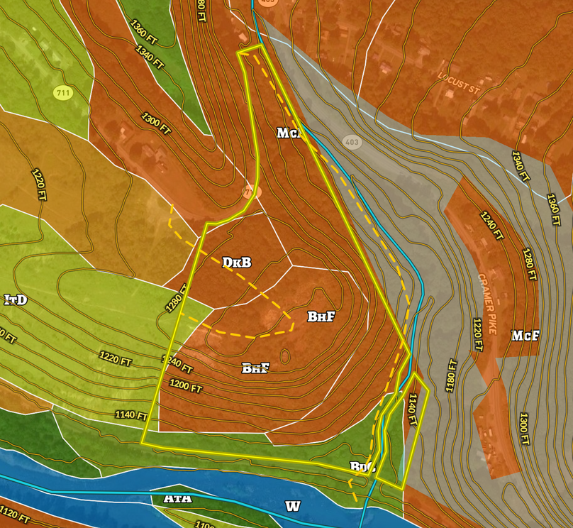 Screen Shot 2023-08-09 at 3.17.53 PM