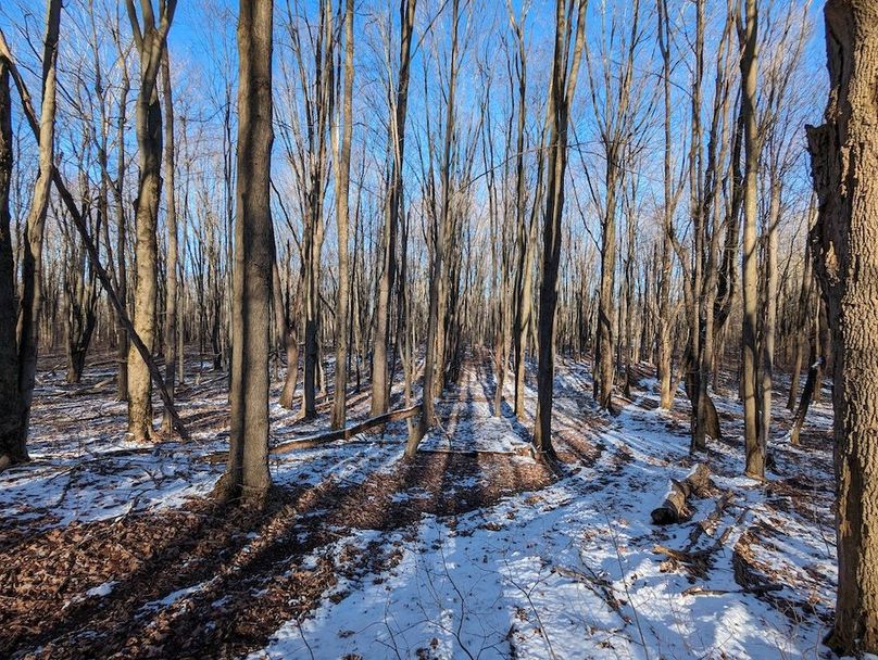 PXL_20240229_213010686