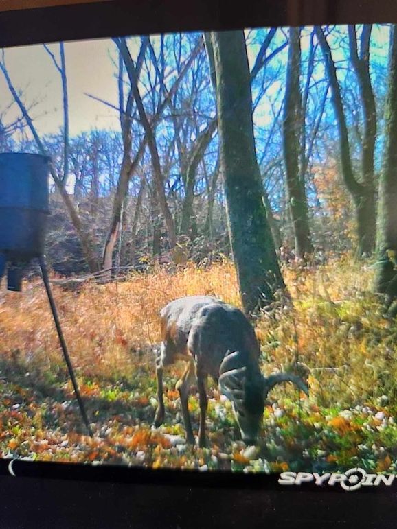 received_1577790296389013