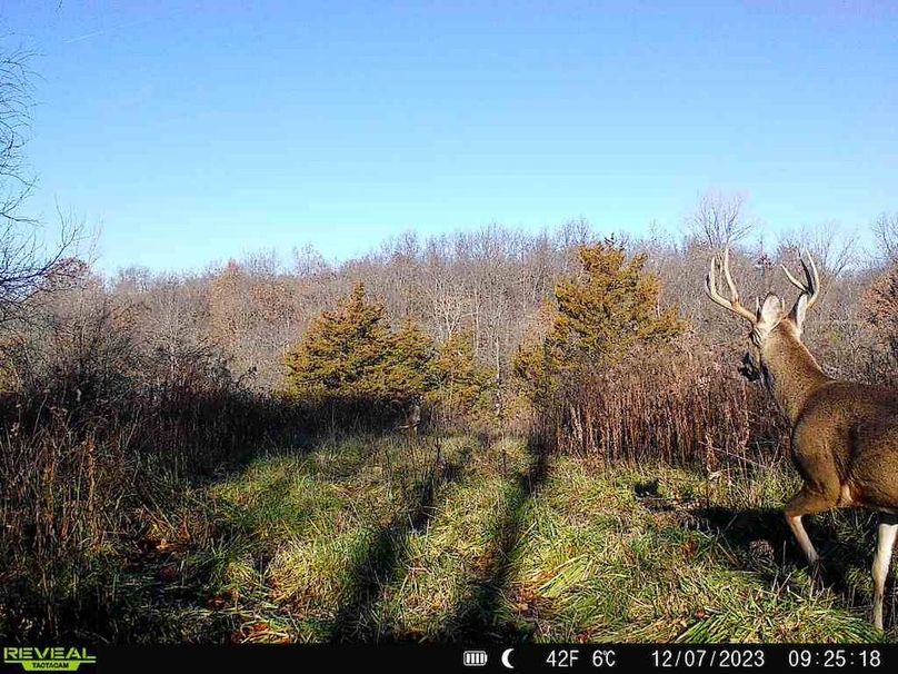 860322065128164-50-4-12072023092518-V-W1006290