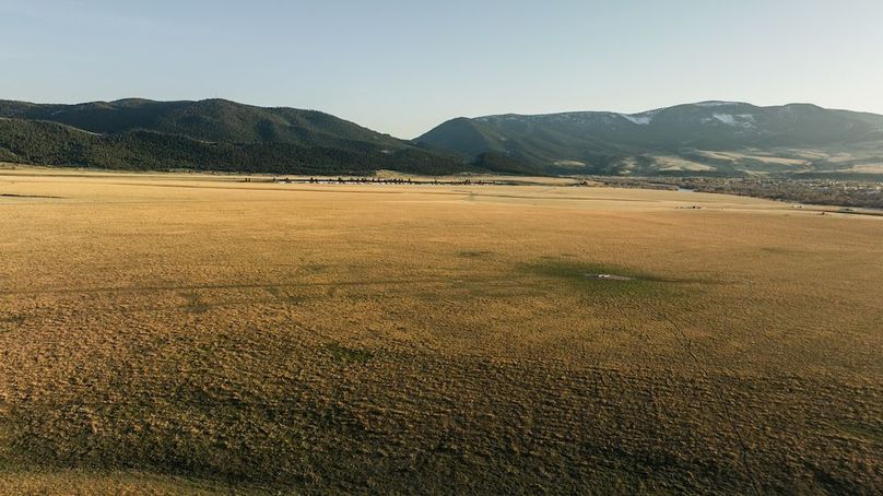 250501-DJI_0083