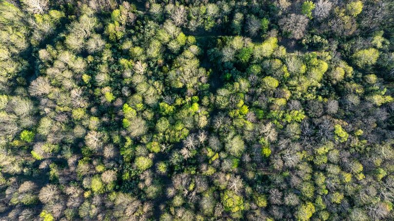 DJI_20260406181648_0013_D