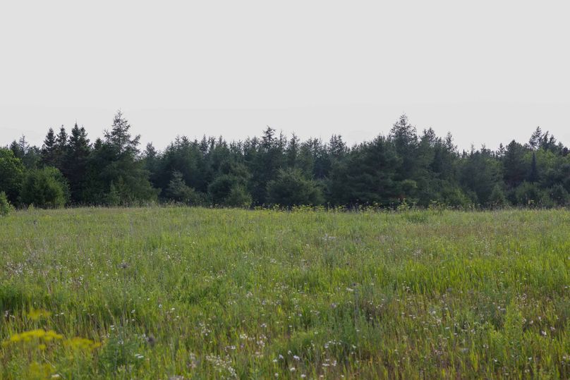 Mackinac20Fewins-6033