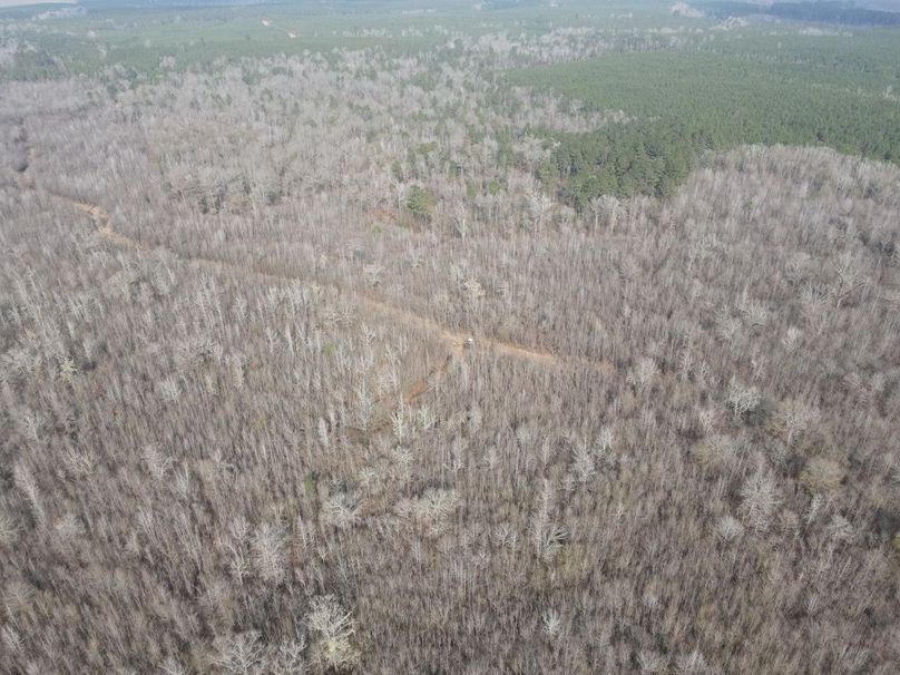 dji_fly_20260109_133132_800_1767987362308_photo