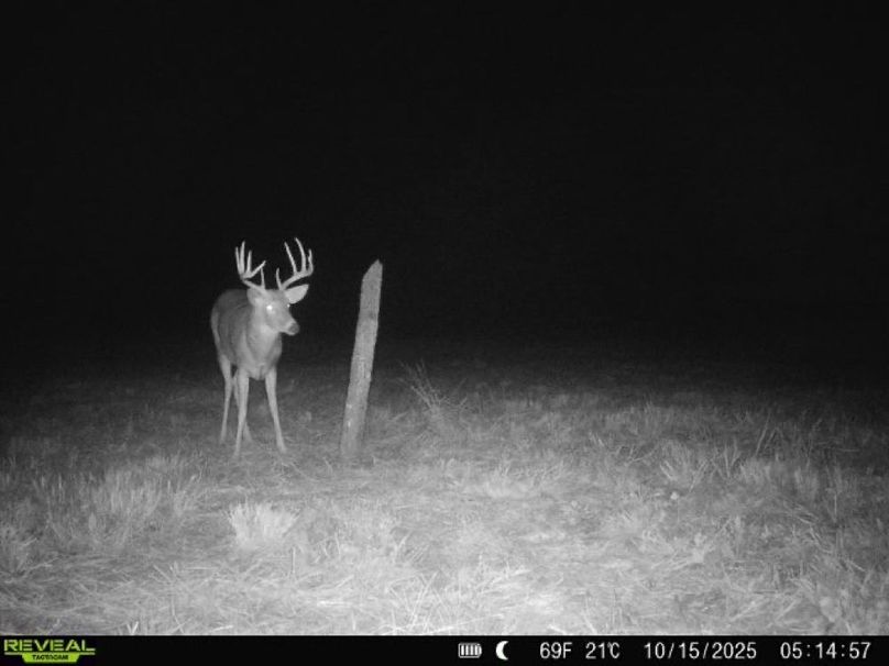 Copy of 860322062100349-0-4-10152025051458-V-W1002050