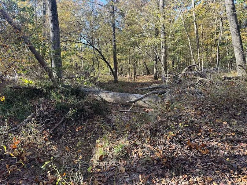 Jeff 11720251111_0208