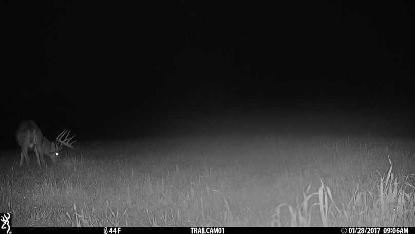 trail cam5