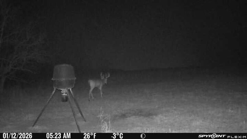 Trail Cam 2