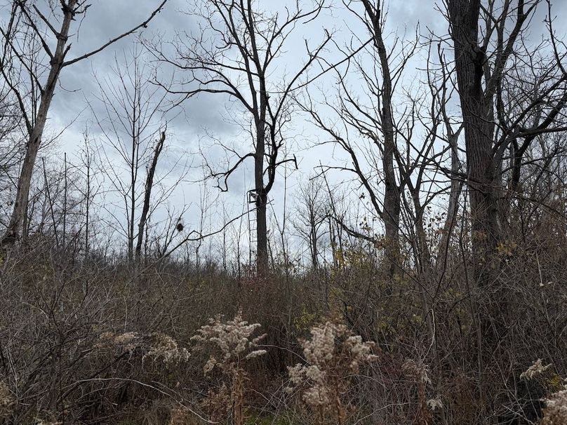 Tompkins_5.12_Galarza Photo 30