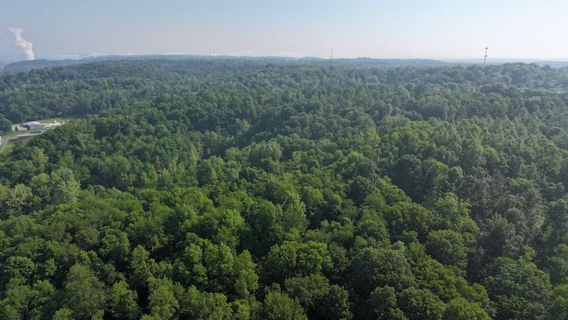 dji_fly_20240516_093614_0022_1715866833515_photo