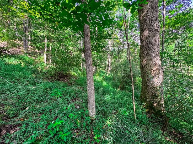 Lewis, WV 105 AC Miller-43