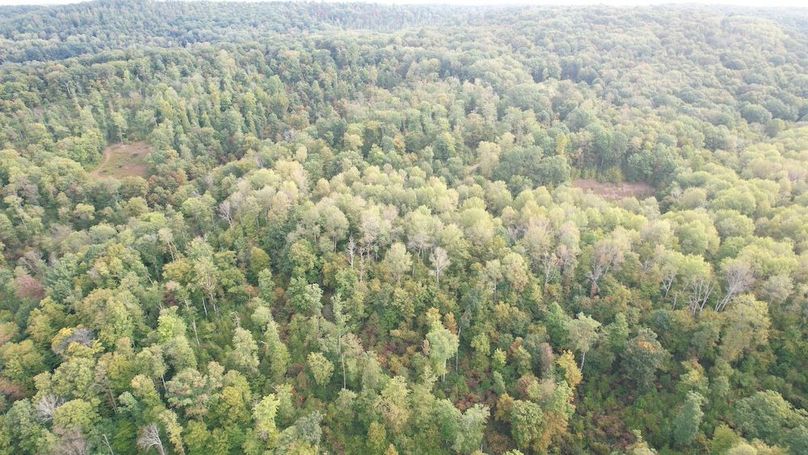 dji_fly_20240919_092124_678_1726752705730_photo