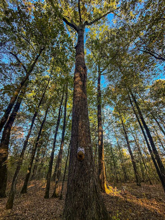 Clay 302.7 Henderson-14