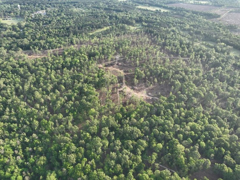 dji_fly_20260407_083302_352_1775580343555_photo