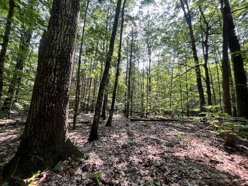 Oswego_22.46-Ross-French_Photos_21