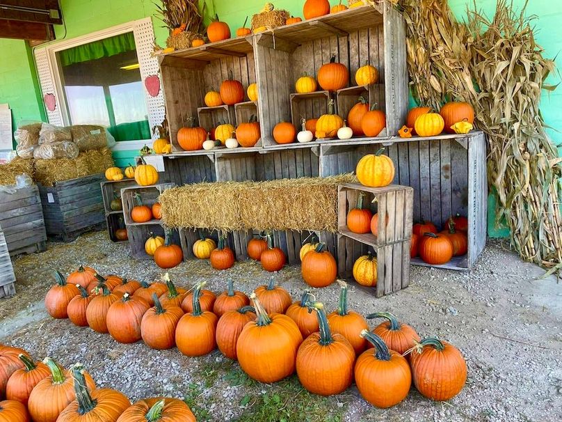 Pumpkins