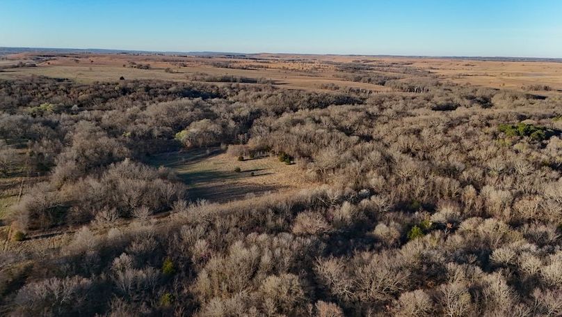 DJI_20250318091145_0037_D