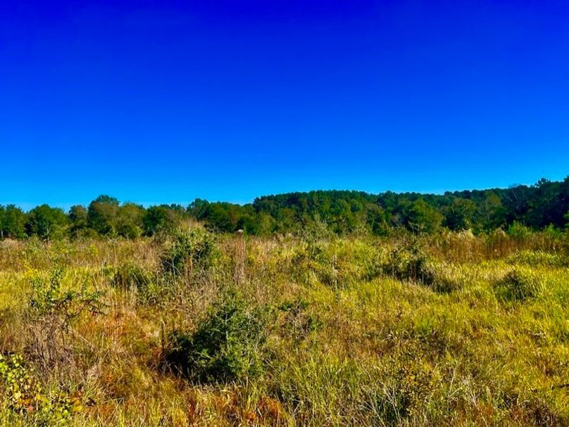 23650E2D-6E8B-41B7-BCB8-EF505F367299_1_105_c