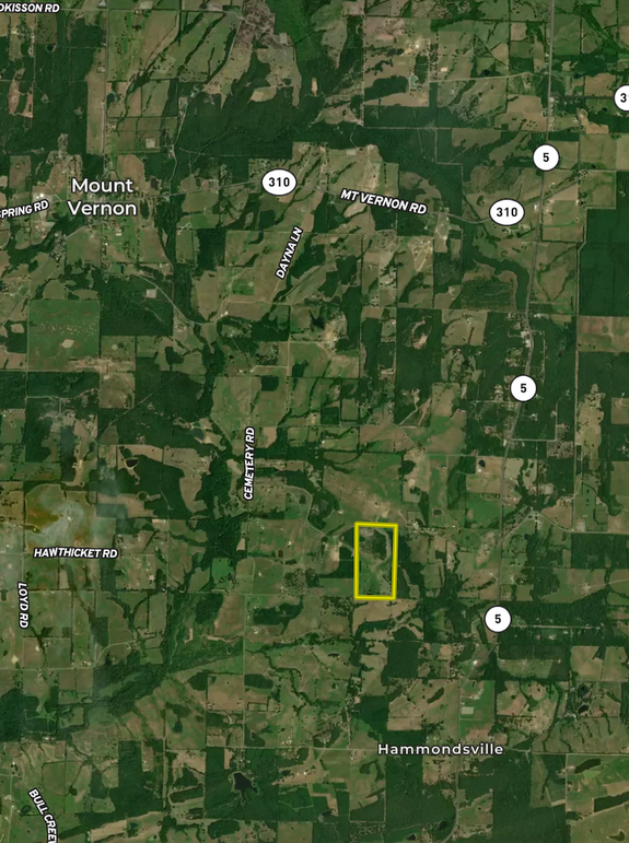 Screenshot 2025-12-06 at 11.16.05 AM