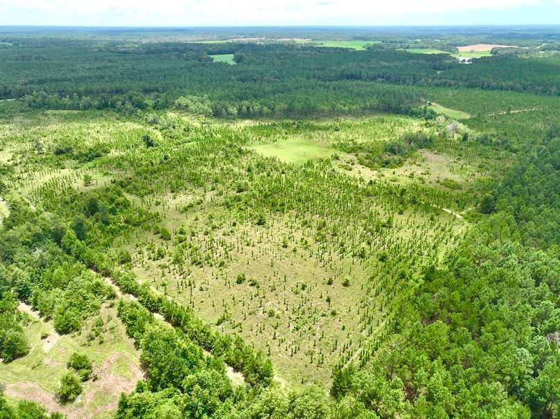 dji_fly_20240710_135456_552_1720634588181_photo