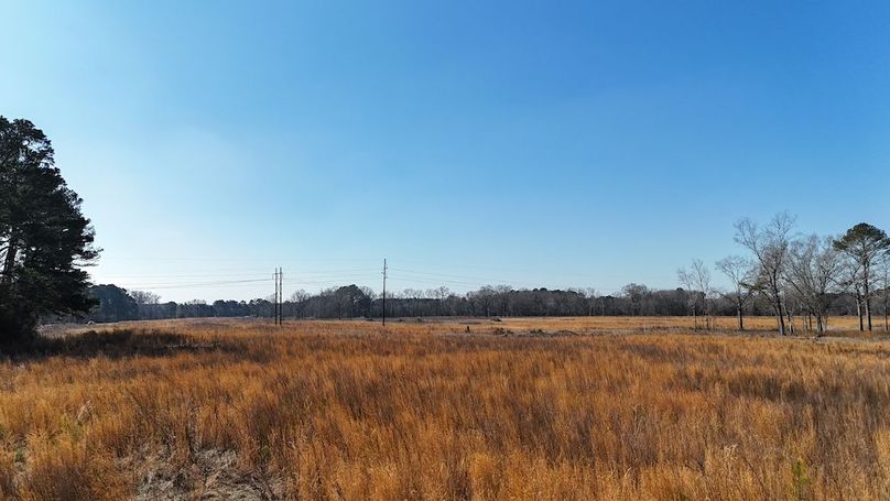 dji_fly_20260206_112928_0246_1770395781785_photo