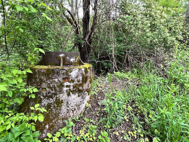 Chemung_3.5_Rouseland Photo 14