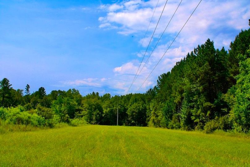 305E6124-A730-43E9-A522-A89463195D25_1_105_c