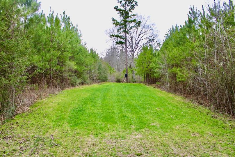 E51D567D-5119-4FB3-B022-AFC9B5D32303_1_105_c