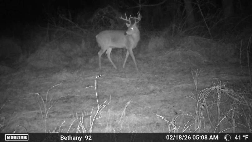 1520709-20260130161525-100MFCAM_MFDC2598