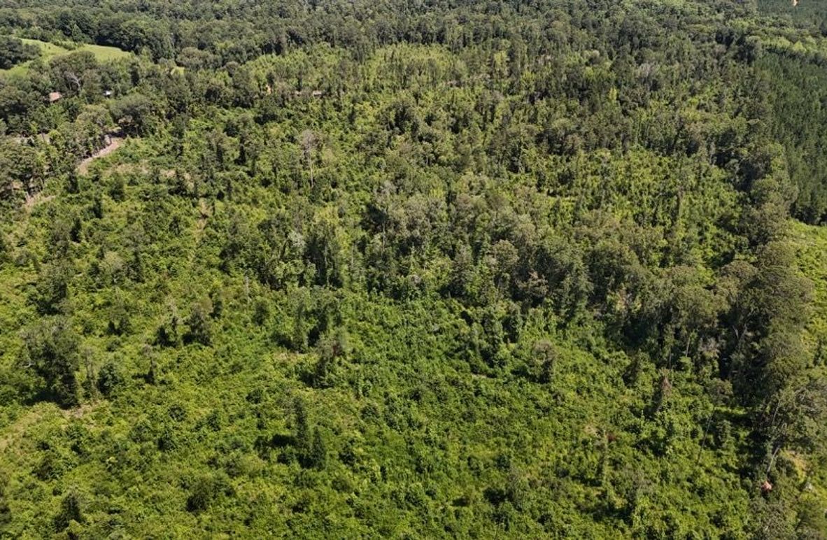 DJI_20250625002016_0663_D