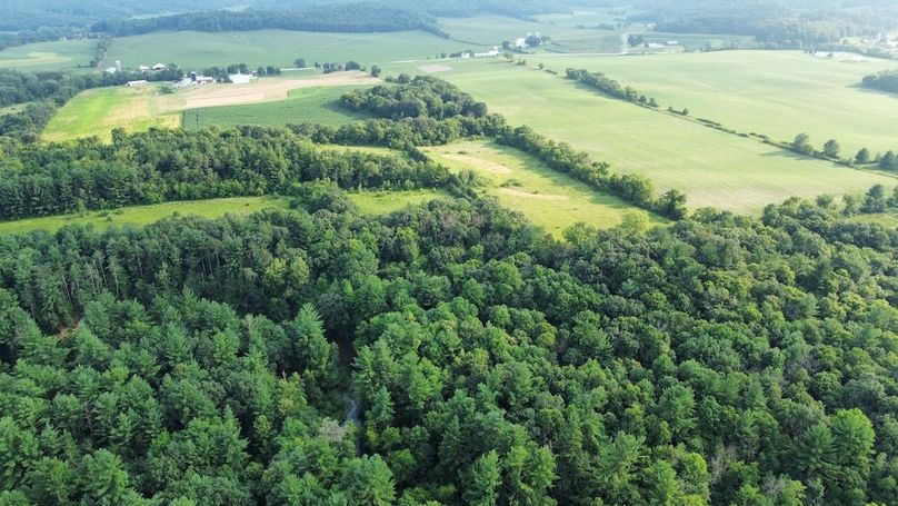 dji_fly_20240715_182154_688_1721085723096_photo_optimized