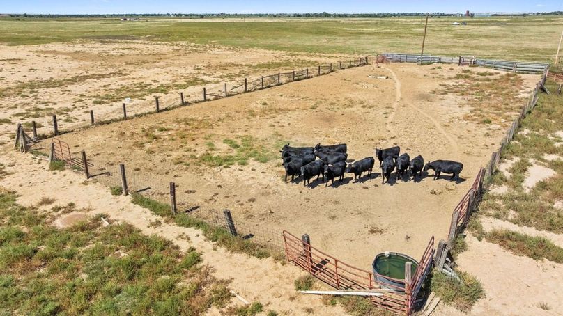 Copy of 9_Crowley, CO 511 Tract 1 Large