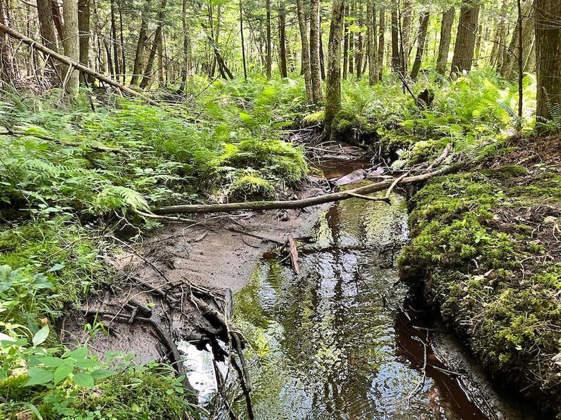 Oswego_133.72_Middleton_Photos_50