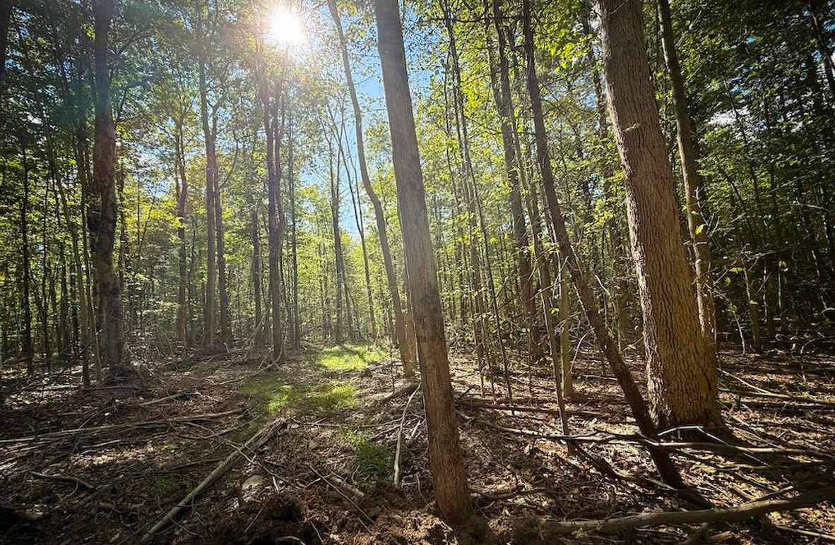 Tompkins_103.12_SusquehannaLandCo_Photos_1