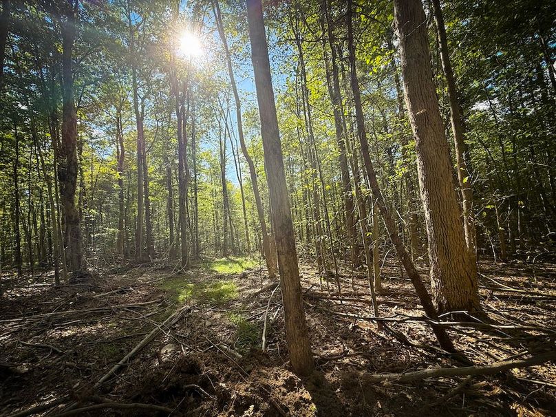 Tompkins_103.12_SusquehannaLandCo_Photos_1