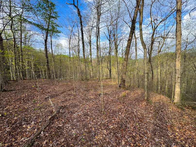 Calhoun, WV 132.84 AC Szegi 2-124